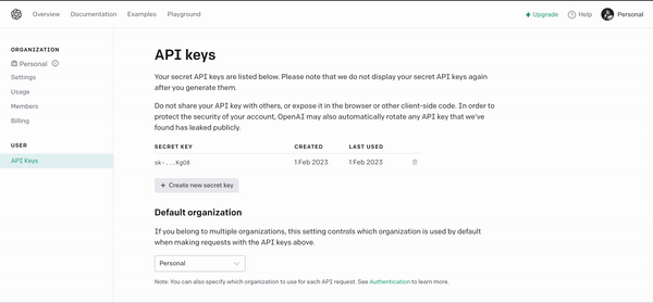 OpenAI -API -Schlüssel